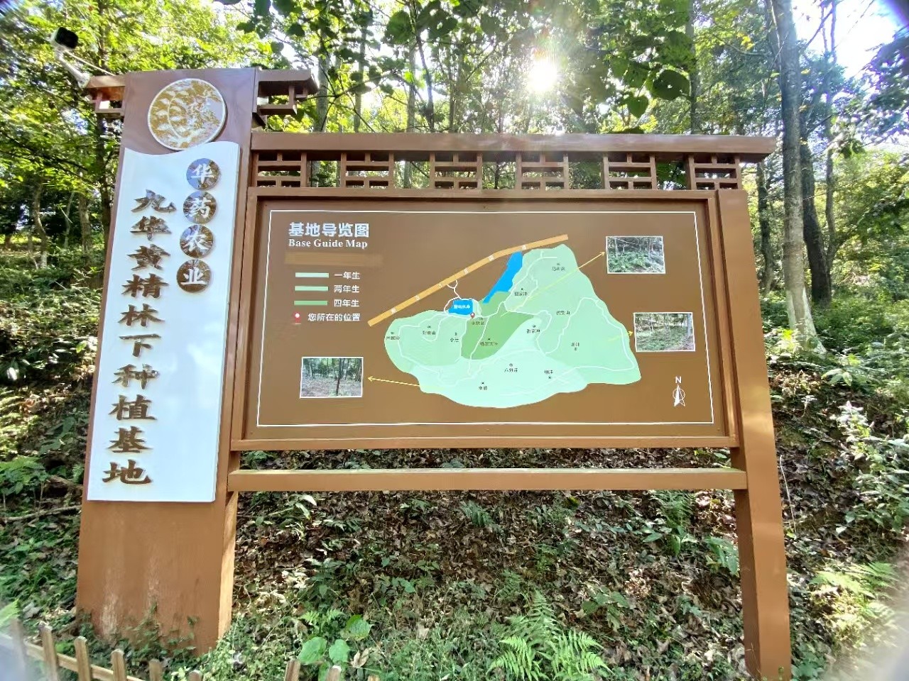道地優質原料開發