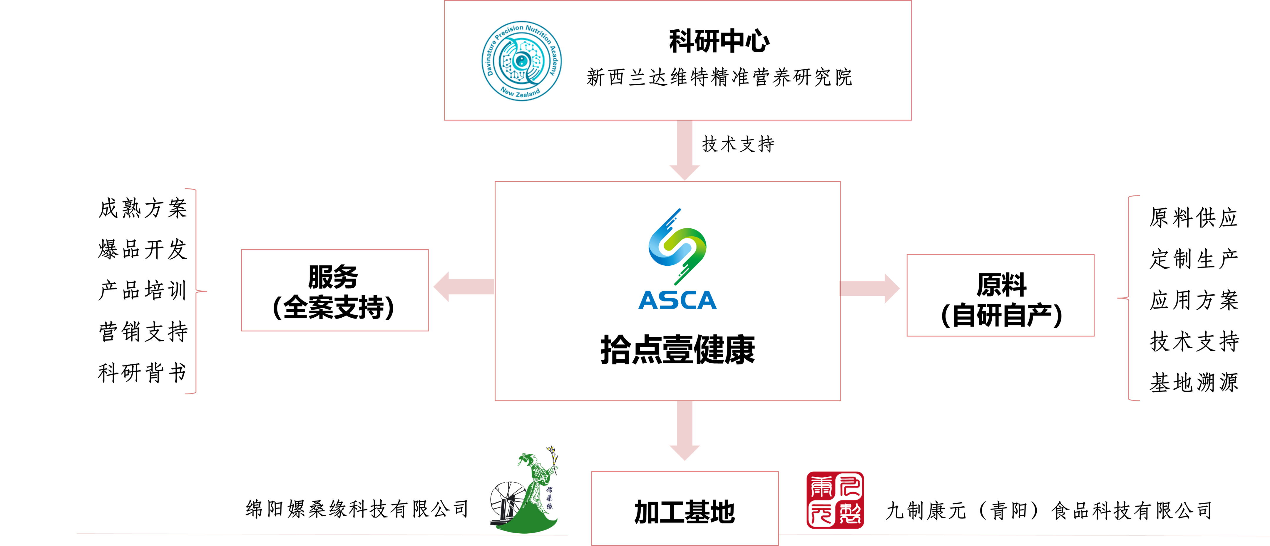 公司結(jié)構(gòu).png